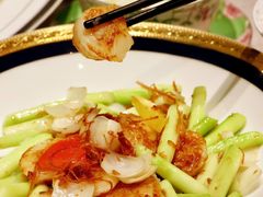 -T館·花园艺术餐厅