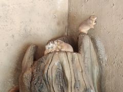 -北戴河集发农业梦想王国