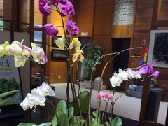 -黔蘑菇四季餐厅(观山湖店)