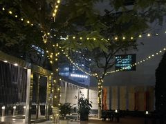 -Plush大堂酒廊(北京金融街威斯汀大酒店)