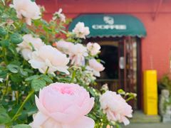 -萤火虫咖啡(后海店)