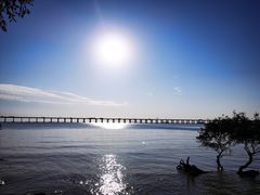 -宝安西湾红树林湿地公园