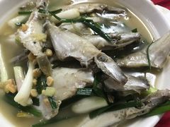 -蛇口康乐快餐鱼仔档(翠苑小区店)