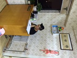 倷丝国际烫染连锁(李家村万达广场店)-Art Hair Salon