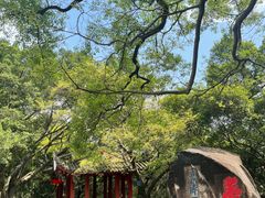 -乌山风景区
