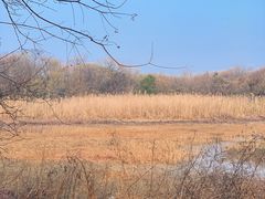 -盘龙城国家考古遗址公园