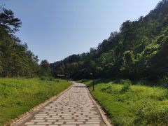 -马口生态公园