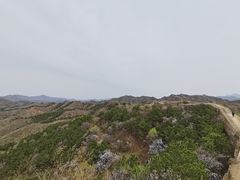 -蟠龙山长城景区