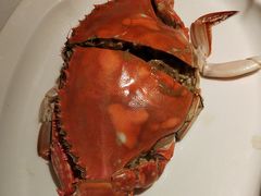 -宝轩渔府·海鲜(水上店)