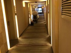 -电谷雅阁国际大酒店