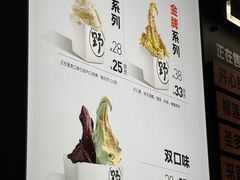 -野人先生现做冰淇淋(北京环宇荟店)