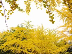 -辽宁大学(崇山校区)