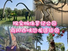 -中国西峡恐龙遗迹园