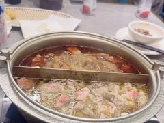 -一绪に寿喜烧(荟聚店)