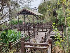 -石塘人家