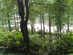 -重庆彩云湖湿地公园
