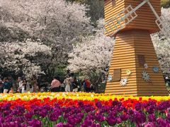 -苏州上方山国家森林公园