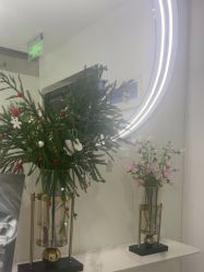 -白月光皮肤管理·德国LDM