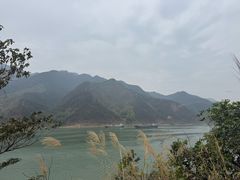 -羚羊峡古栈道森林公园