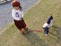 -前小桔亲子创意农场·草莓采摘·露营烧烤