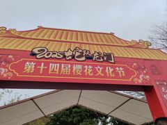 -天适樱花悠乐园