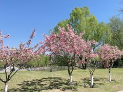 -中国农业博物馆