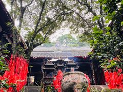-青城山