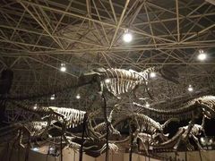 -世界恐龙谷景区