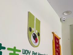 -艾吉宠物医院·疑难杂症转诊中心·猫友好(碧江路院)