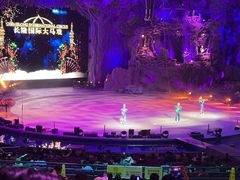 -广州长隆国际大马戏
