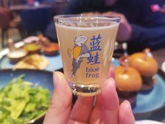 -bluefrog蓝蛙(石家庄欢乐汇店)