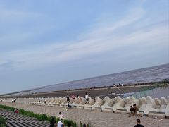 -南汇新城海滩