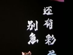 -潇湘国际影城(天马店)