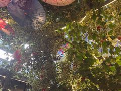 -海韵人家.海景花园经典云南菜(双廊店)