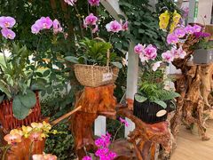 -兰陵国家农业公园