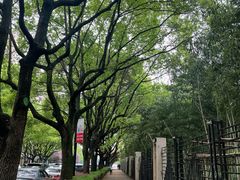 -华东师范大学第二附属中学(张江校区)