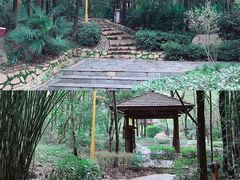 -洪湖悦兮半岛国际温泉度假村