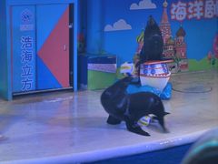 -成都浩海立方海洋公园