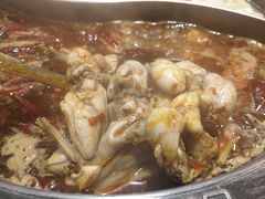 -销魂美蛙鱼头火锅(上海首店)