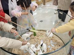 -飞扬影城(正佳IMAX店)