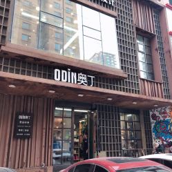 -ODIN 奥丁形象设计 
