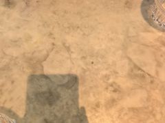 -gaga(深圳福田星河COCO Park店)