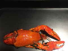 -赤甲皇(仙霞路店)