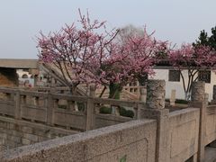 -尚湖风景区