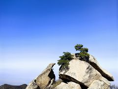 -华山风景名胜区