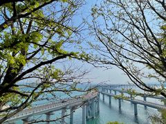 -星海湾跨海大桥