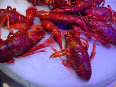 -红盔甲·小龙虾(定西路店)