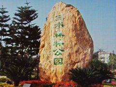 -三水森林公园