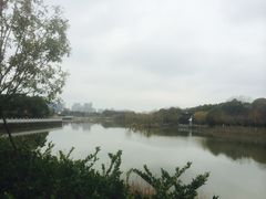 -八大山人梅湖景区
