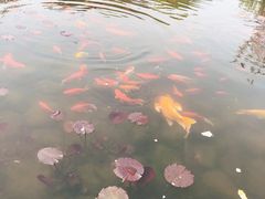 -白马涧龙池景区